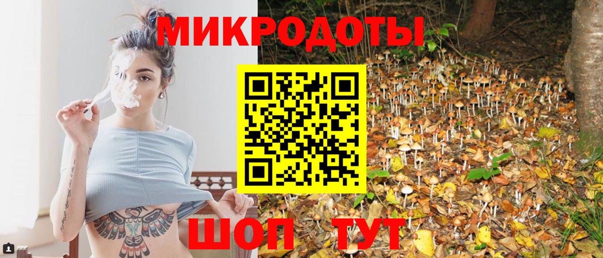Галлюциногенные грибы Cubensis Камышин